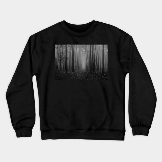 black and white foggy woods folklore taylor swift Crewneck Sweatshirt by opptop